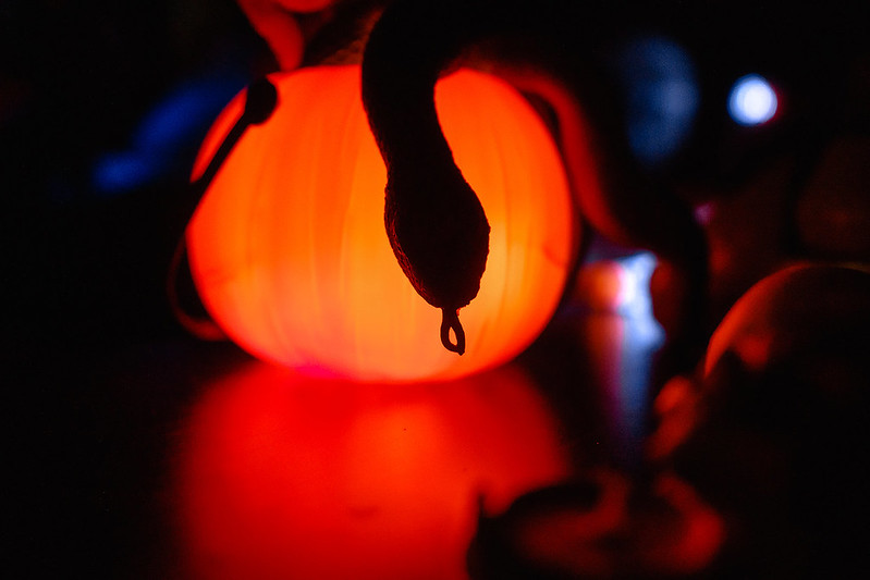 Украшение дома паутиной и летучими мышами к Хэллоуину в Khabarovsk